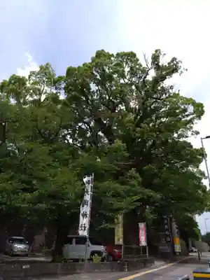 北岡神社(熊本県)
