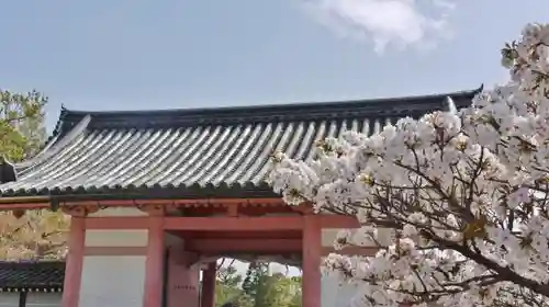 仁和寺の山門・神門