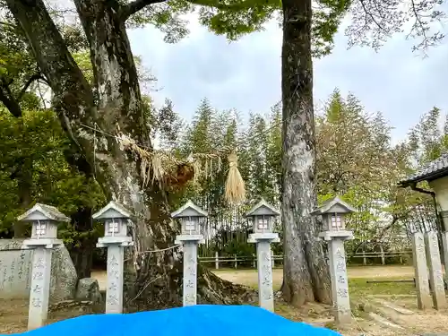 牟佐神社(滋賀県)