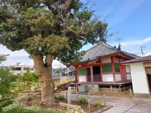 家原寺(大阪府)