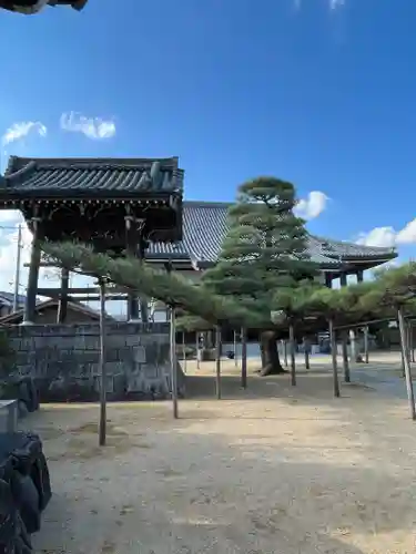本福寺(滋賀県)