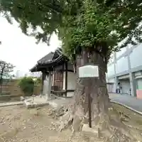 稼穡稲荷社の自然