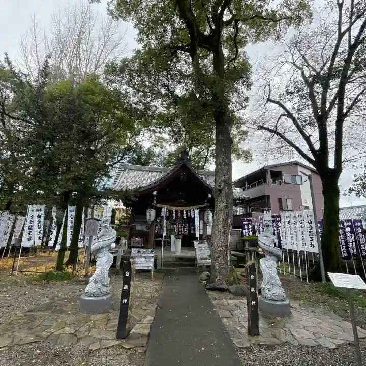 白金龍王社(愛知県)