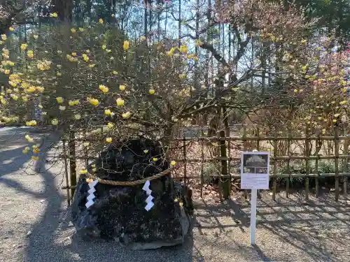 芳賀天満宮(栃木県)