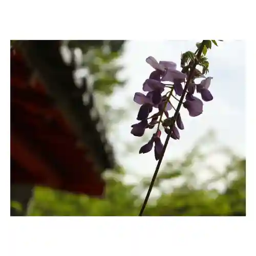 岐阜稲荷山本社(岐阜県)