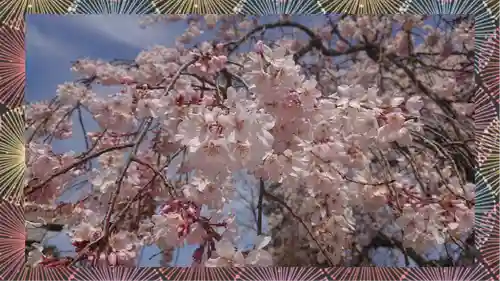 境香取神社(茨城県)