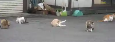 清正公堂の動物