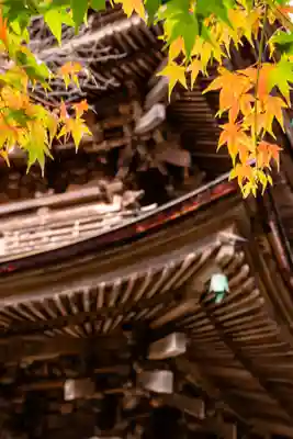 新海三社神社(長野県)