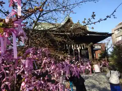 桜神宮の本殿・本堂