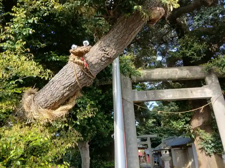 神明社の{uncategorized: "未分類", other: "その他", undefined: "問題あり", building: "その他建物", grave: "お墓", sacred_gate: "鳥居", guardian: "狛犬", statue: "像", buddha: "仏像", history: "歴史", nature: "自然", garden: "庭園", animal: "動物", pagoda: "塔", temizu: "手水舎", mountain_gate: "山門・神門", sanctuary: "本殿・本堂", subordinate: "末社・摂社", art: "芸術", scenery: "景色", jizo: "地蔵", ema: "絵馬", goshuin: "御朱印", omikuji: "おみくじ", items: "授与品その他", amulet: "お守り", goshuincho: "御朱印帳", eats: "食事", festival: "お祭り", votive_dance: "神楽", shichigosan: "七五三参", wedding: "結婚式", experience: "体験その他", initially: "初詣", around: "周辺", anti_infection: "感染症対策"}