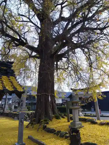 天川命神社(滋賀県)