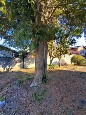 友之郷開運稲荷神社(栃木県)