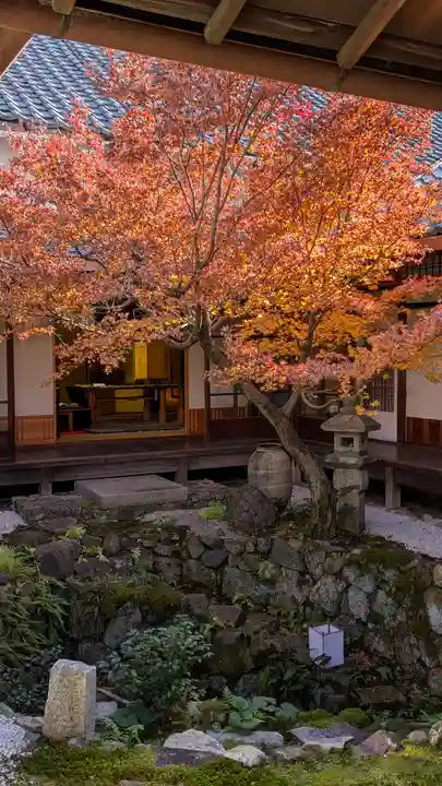 興聖寺(京都府)