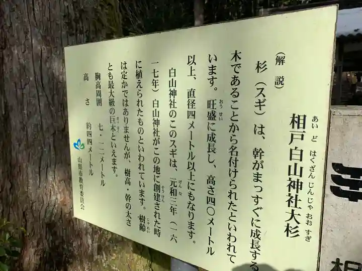 白山神社(相戸白山神社)の歴史