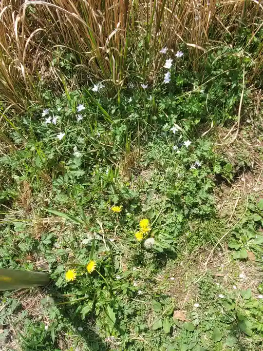 錦着山護国神社の自然