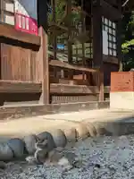 八幡社(柏井町)の動物