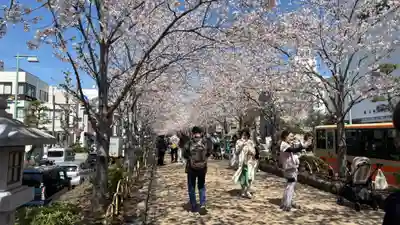 鶴岡八幡宮の自然