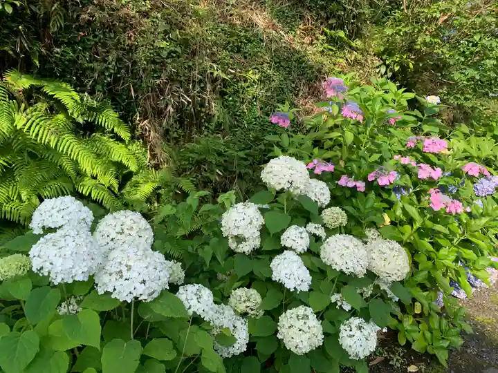 普門寺(切り絵御朱印発祥の寺)の芸術