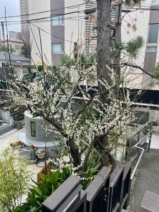 大龍寺の{uncategorized: "未分類", other: "その他", undefined: "問題あり", building: "その他建物", grave: "お墓", sacred_gate: "鳥居", guardian: "狛犬", statue: "像", buddha: "仏像", history: "歴史", nature: "自然", garden: "庭園", animal: "動物", pagoda: "塔", temizu: "手水舎", mountain_gate: "山門・神門", sanctuary: "本殿・本堂", subordinate: "末社・摂社", art: "芸術", scenery: "景色", jizo: "地蔵", ema: "絵馬", goshuin: "御朱印", omikuji: "おみくじ", items: "授与品その他", amulet: "お守り", goshuincho: "御朱印帳", eats: "食事", festival: "お祭り", votive_dance: "神楽", shichigosan: "七五三参", wedding: "結婚式", experience: "体験その他", initially: "初詣", around: "周辺", anti_infection: "感染症対策"}