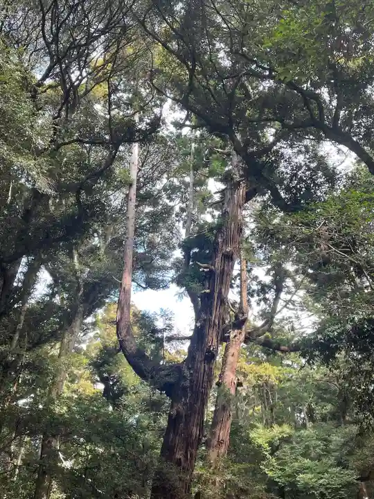 鹿島神宮(茨城県)