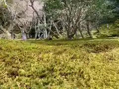 慈照寺（慈照禅寺・銀閣寺）(京都府)