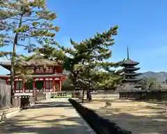 興福寺 南円堂(奈良県)