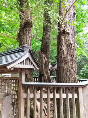 切幡寺(徳島県)