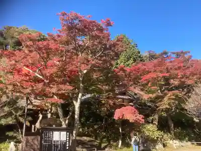 円覚寺(神奈川県)