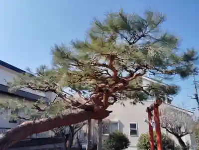 天満宮(群馬県)