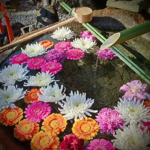 東京羽田 穴守稲荷神社(東京都)