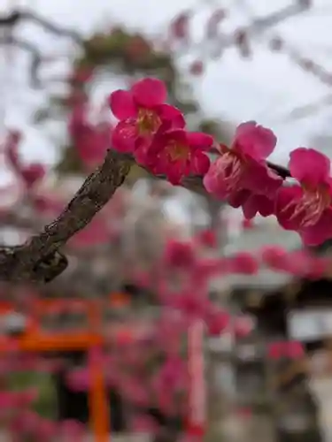 布多天神社(東京都)