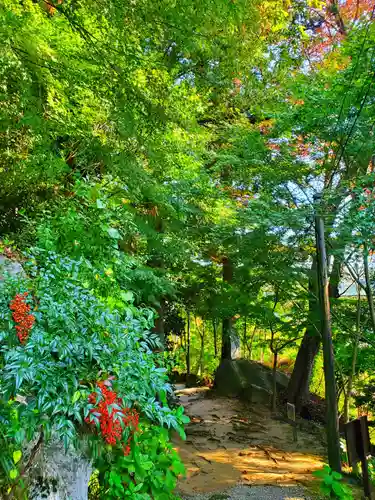 石都々古和気神社(福島県)