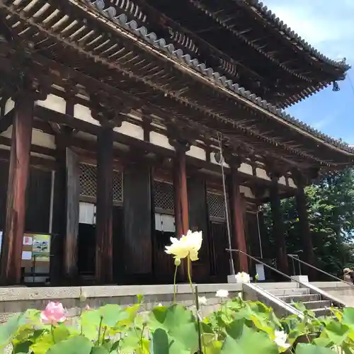 喜光寺(奈良県)