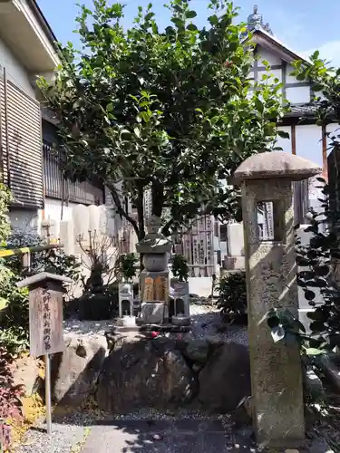 地蔵院（椿寺）(京都府)