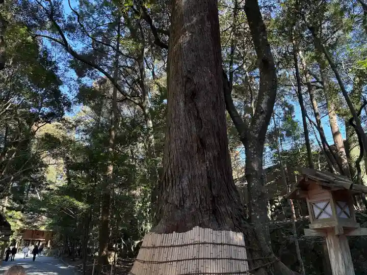 伊勢神宮内宮(皇大神宮)(三重県)