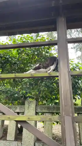 和歌山縣護國神社の動物