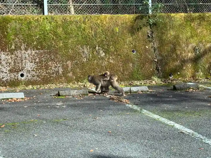 久遠寺(山梨県)