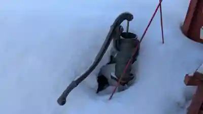 稲荷神社の手水舎