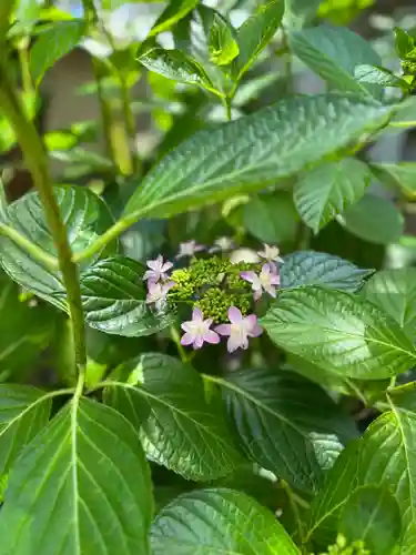 観音寺(兵庫県)