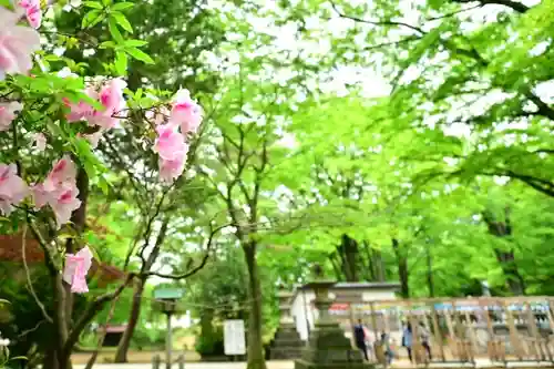金峯神社(新潟県)