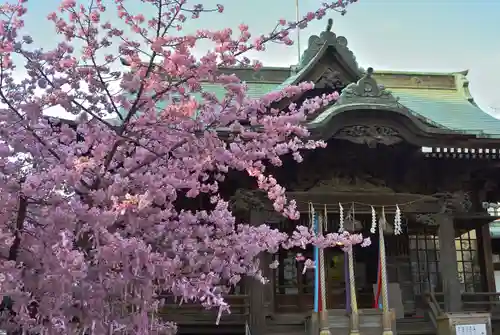 桜神宮(東京都)