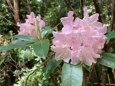 船宿寺(奈良県)