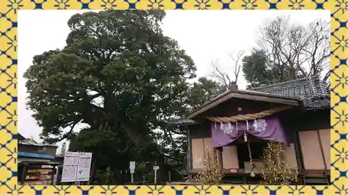 九重神社(埼玉県)