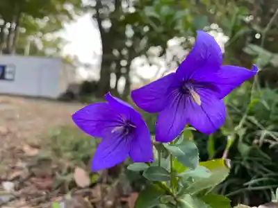 赤城神社(群馬県)