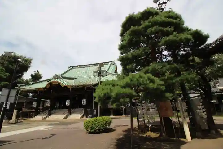 妙法寺の本殿・本堂