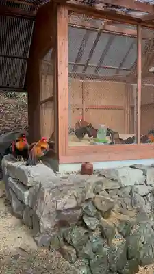 大甕神社(茨城県)