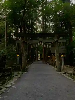 椿大神社の{uncategorized: "未分類", other: "その他", undefined: "問題あり", building: "その他建物", grave: "お墓", sacred_gate: "鳥居", guardian: "狛犬", statue: "像", buddha: "仏像", history: "歴史", nature: "自然", garden: "庭園", animal: "動物", pagoda: "塔", temizu: "手水舎", mountain_gate: "山門・神門", sanctuary: "本殿・本堂", subordinate: "末社・摂社", art: "芸術", scenery: "景色", jizo: "地蔵", ema: "絵馬", goshuin: "御朱印", omikuji: "おみくじ", items: "授与品その他", amulet: "お守り", goshuincho: "御朱印帳", eats: "食事", festival: "お祭り", votive_dance: "神楽", shichigosan: "七五三参", wedding: "結婚式", experience: "体験その他", initially: "初詣", around: "周辺", anti_infection: "感染症対策"}