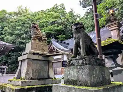 戸隠神社中社(長野県)