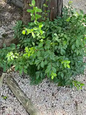 建部大社(滋賀県)