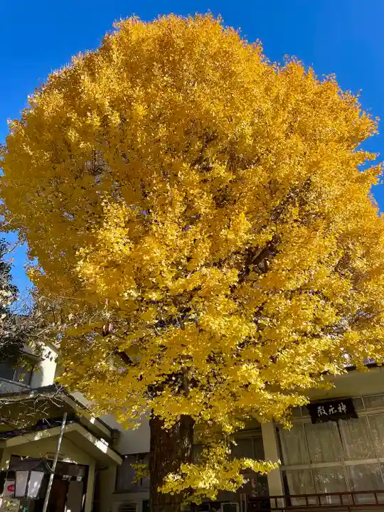 千住本氷川神社(東京都)